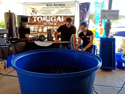 ! Vendor Tank Rental for Koi Show